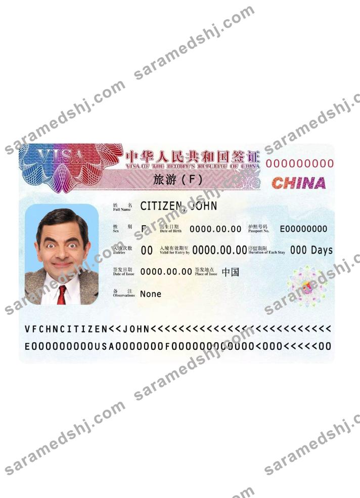China visa 2019 present version 2
